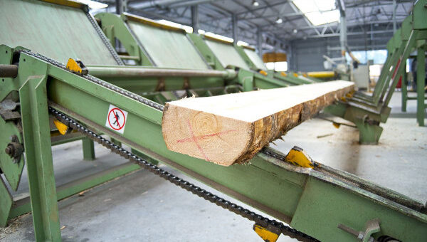 Nowa technologia do przetwórstwa drewna. Kredyt technologiczny